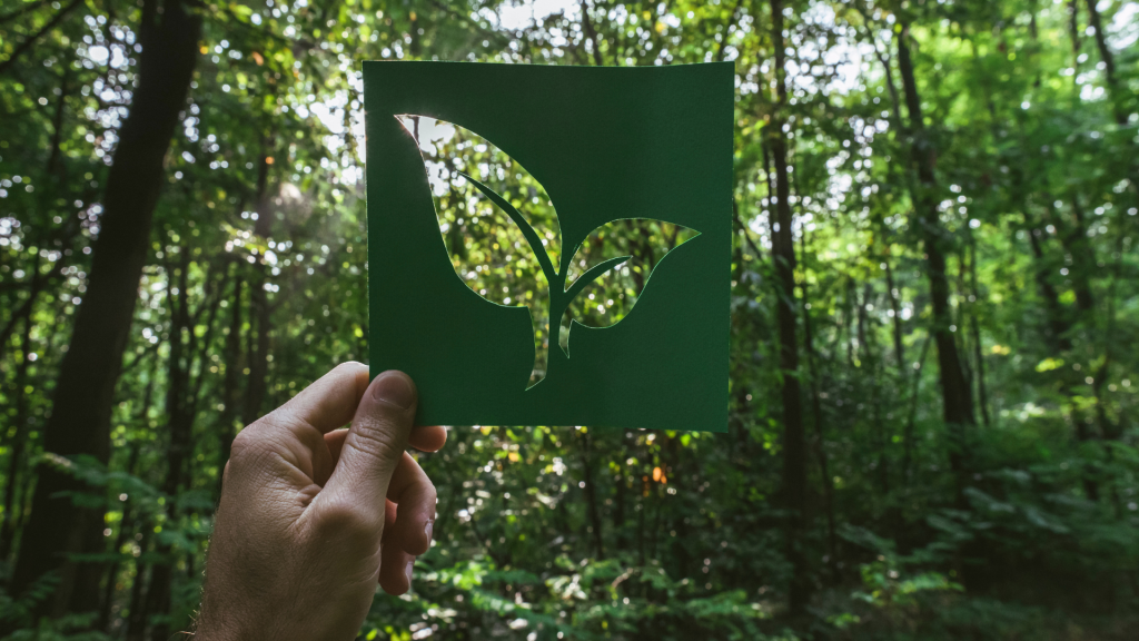 REDinc: Eco-Friendly Packaging Leading the Green Revolution